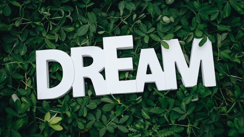 Why You Should Dream Big